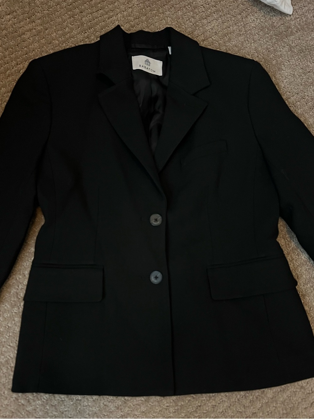 Aritzia Babaton Negotiate Blazer